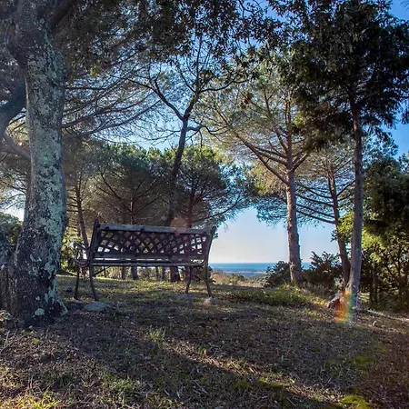 Glamping Debbiare Riparbella