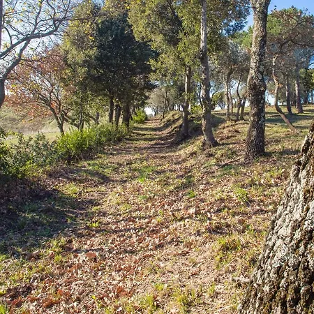 Glamping Debbiare Tente de luxe Riparbella