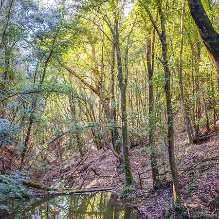 Luxusní stan Glamping Debbiare Riparbella